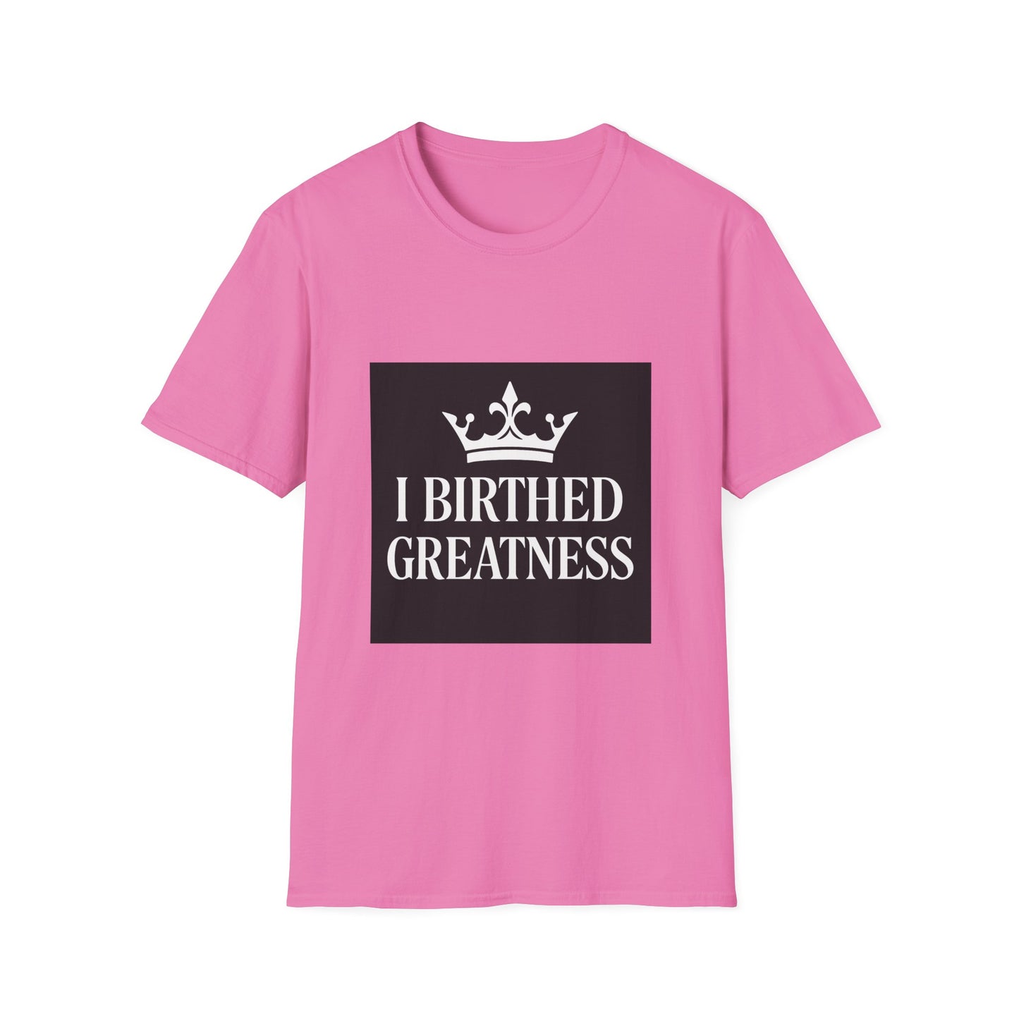 Unisex Softstyle T-Shirt
