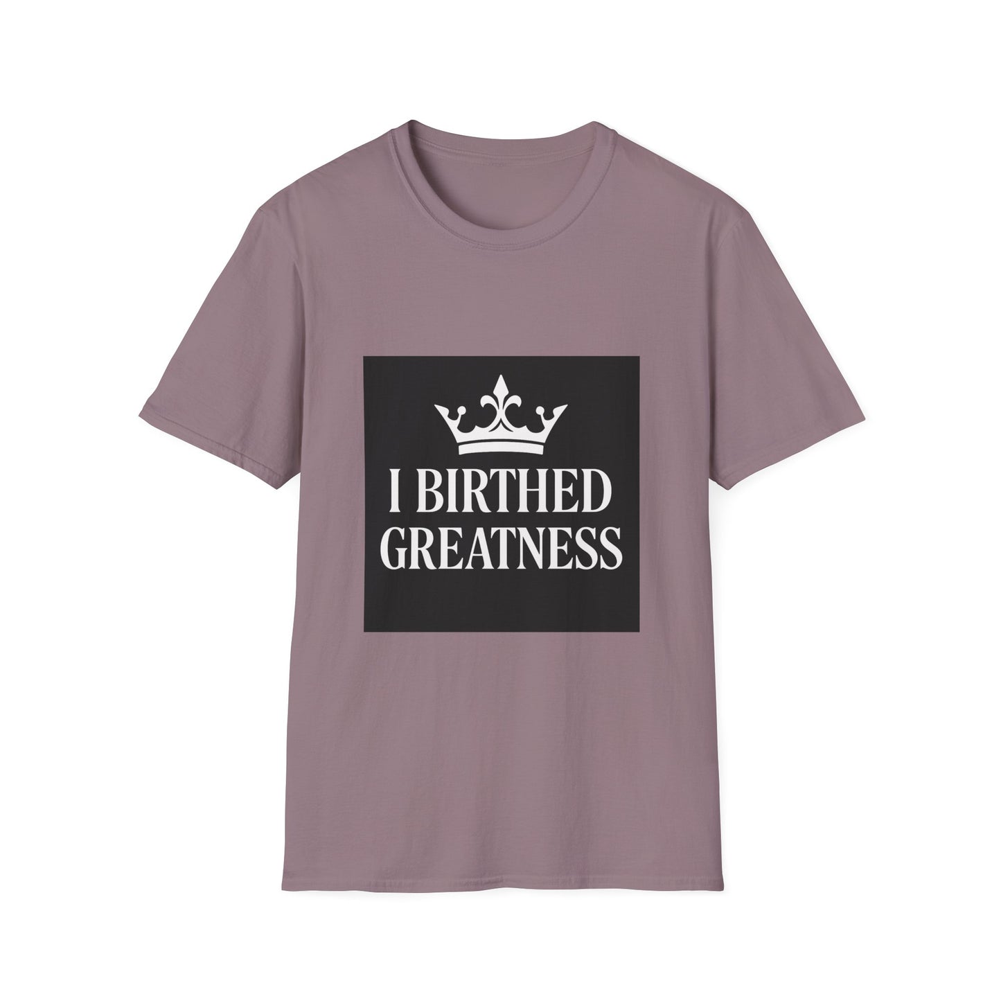 Unisex Softstyle T-Shirt