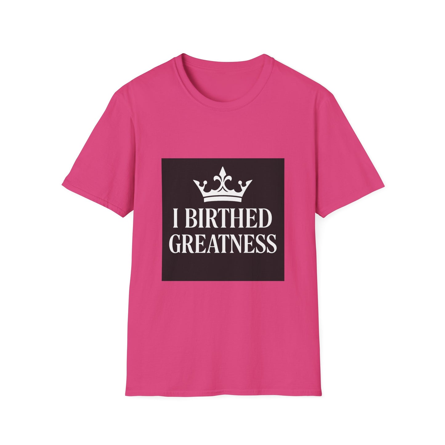 Unisex Softstyle T-Shirt